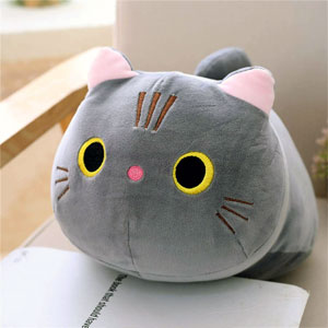 Cozy Cat Cushion